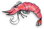 Free Shrimp Clipart Pictures Clipartix