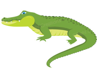 Funny alligator clip art crocodile pictures 4