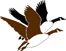 Goose hunting clipart