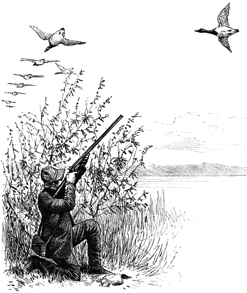 Hunting clip art in public domain free clipart 3