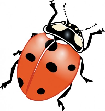 Insect clip art clipart photo