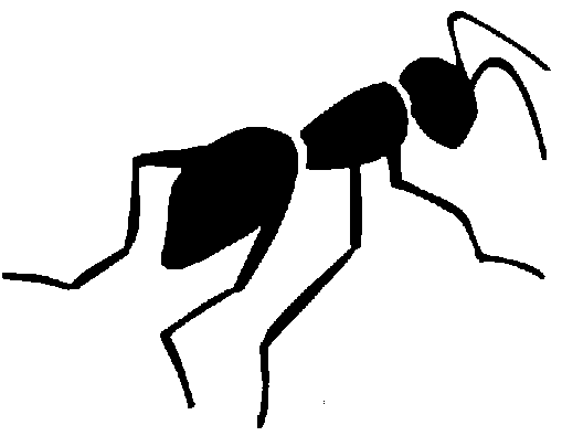 Insect clipart black and white free images