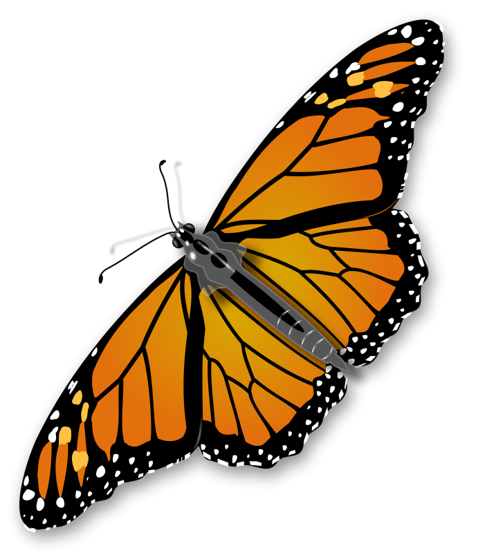 Insect clipart free images 2 image