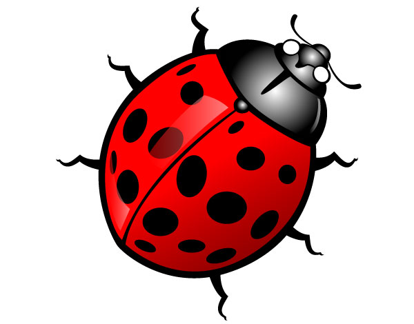 Insect clipart free images 2
