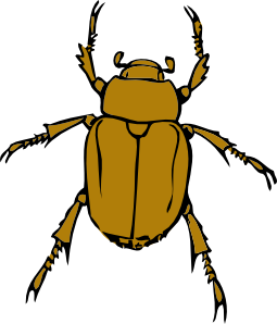 Insect clipart image