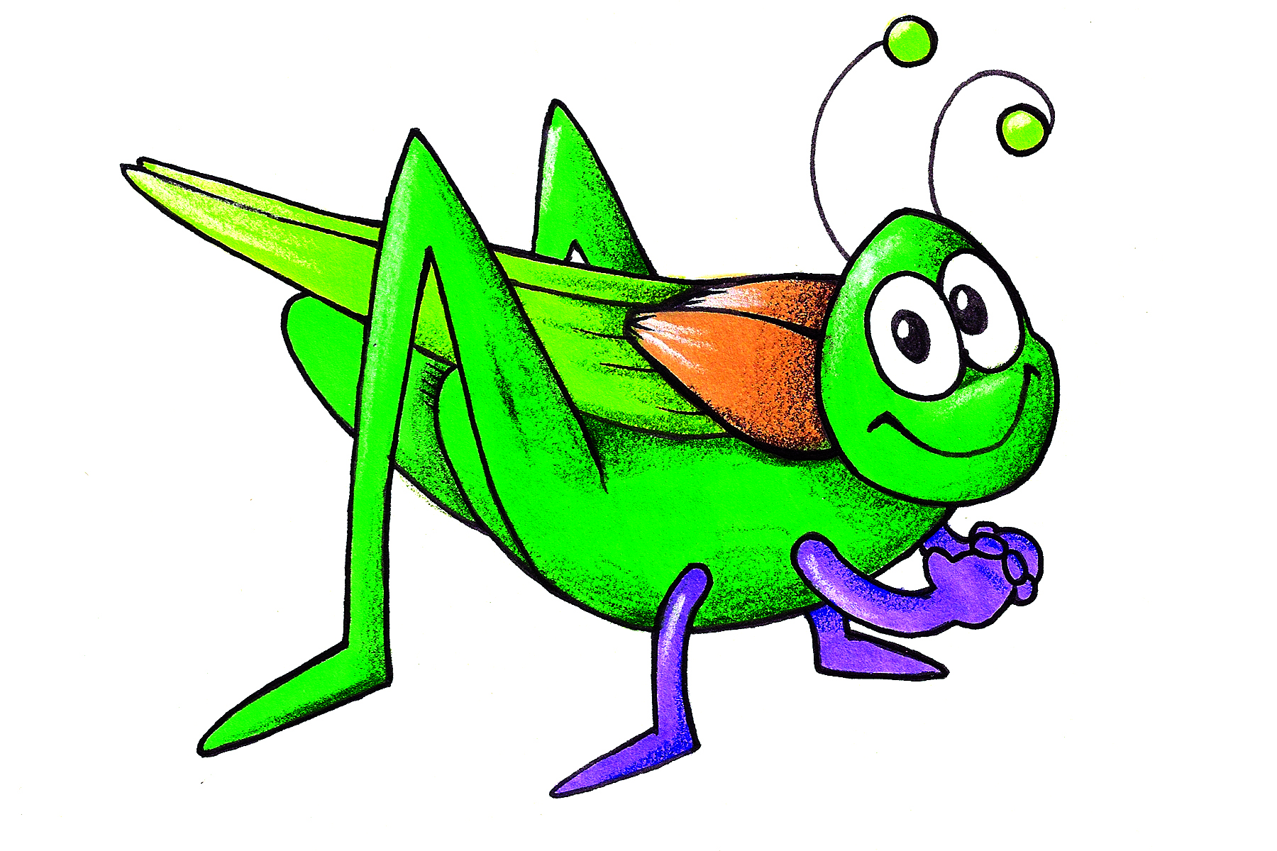 Insect cricket bug clipart image