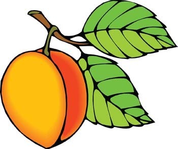 Peach clip art images fruit clip art
