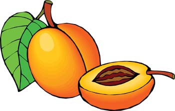 Peach clipart black and white free images