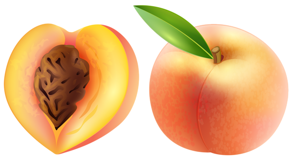 Peach clipart peachclipart fruit clip art photo