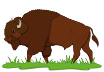Search results for buffalo pictures graphics clipart