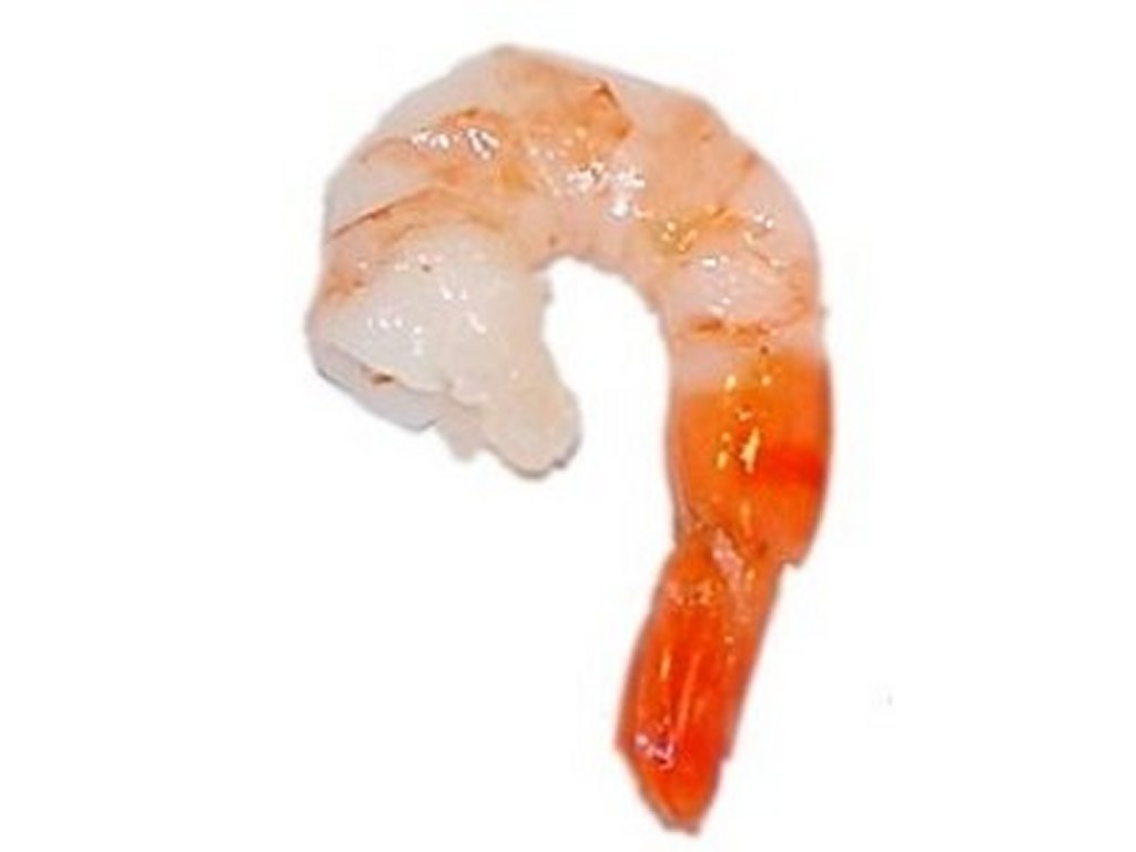 Shrimp clip art images illustrations photos 2