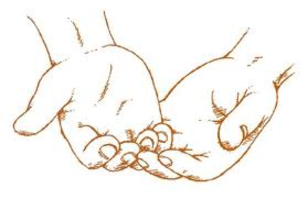 Touching Hands Clipart Kid Clipartix