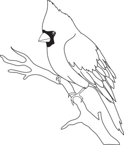 Cardinal black and white clipart