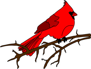 Cardinal clipart free clipart