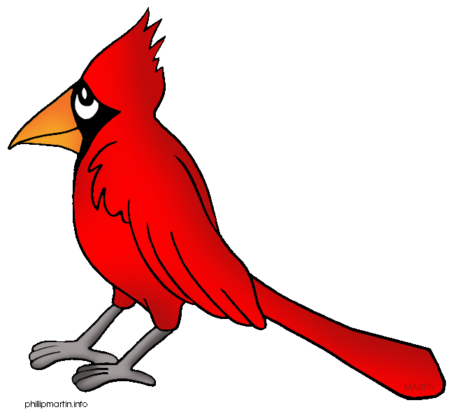 Cardinal feathers clipart kid