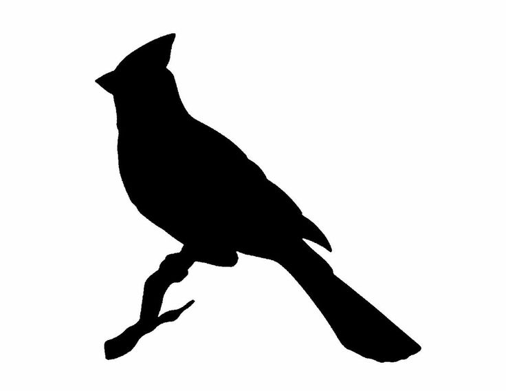 Cardinals silhouette and clip art on