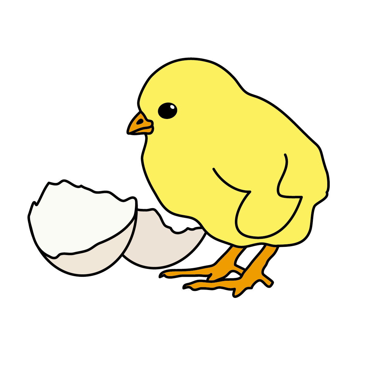 Chick clipart lpsk 2