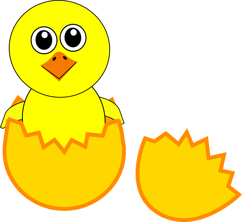 Chick free to use cliparts
