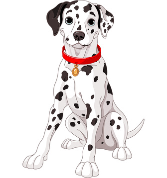 Dalmation dog clip art pictures of dogs