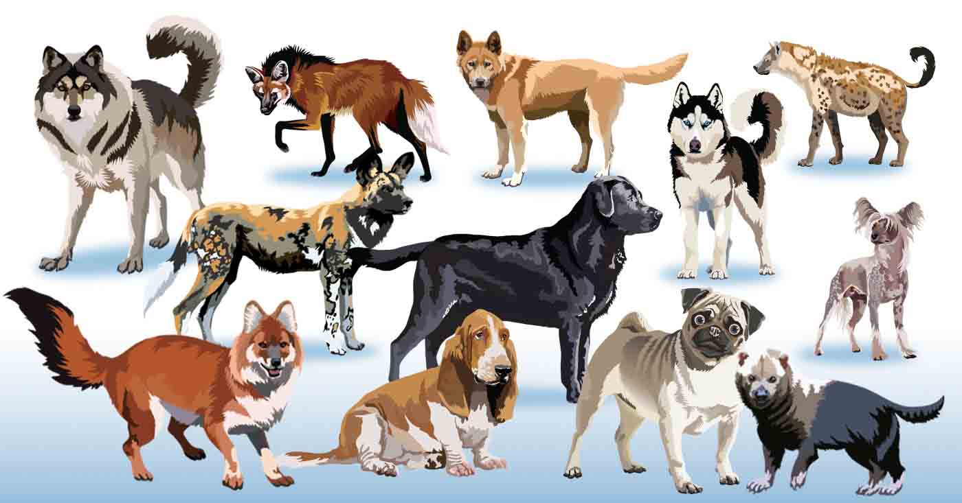 Dogs clip art and other animals links