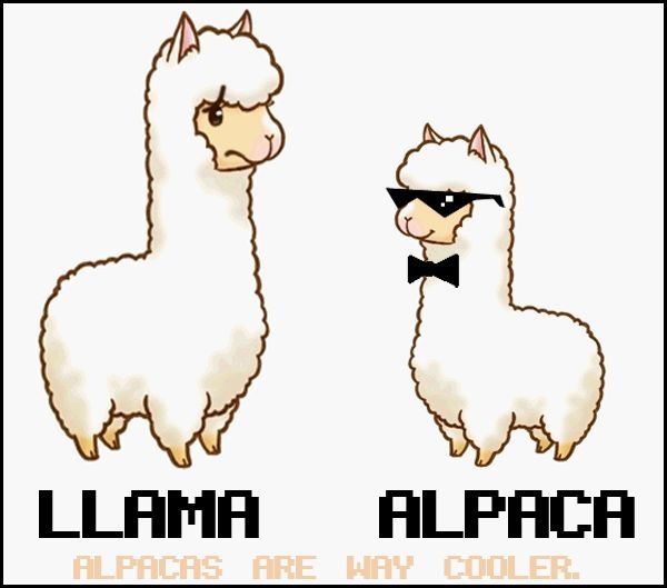 Llama alpaca cartoon clipart