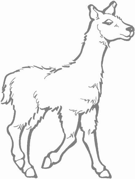 Llama clip art at vector free 2 image