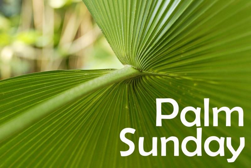 Palm sunday 6 images pictures crafts songs clipart for kids