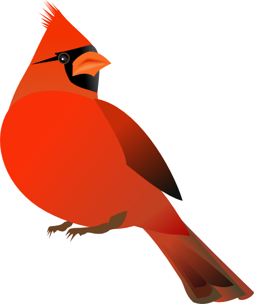 Red cardinal clipart kid
