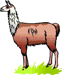 Related pictures llama face clip art clipart kid