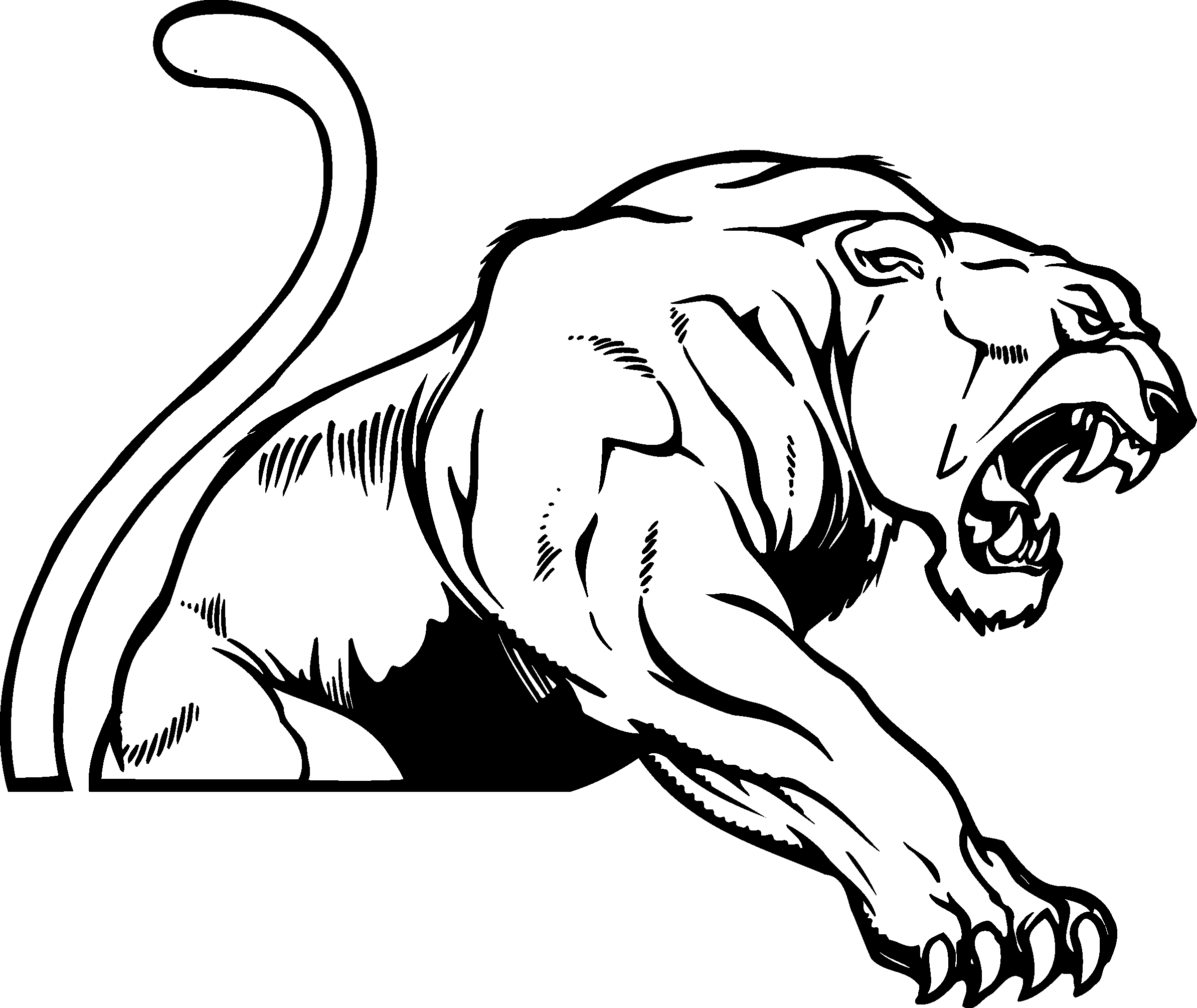 Cougar clipart free images 2