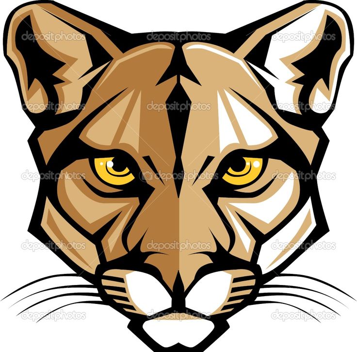 Cougar panthers clip art and vector graphics on