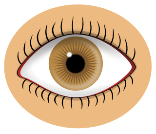 Eyeball free eye clipart 3 pages of clip art 2