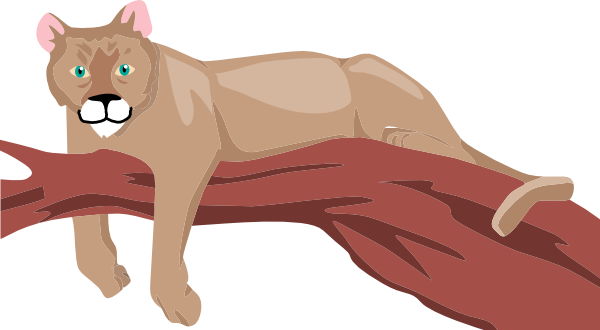 Free cougar clipart 5