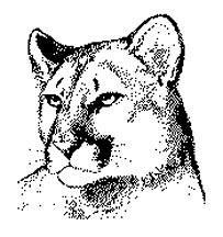 Free cougar clipart pictures idea 2