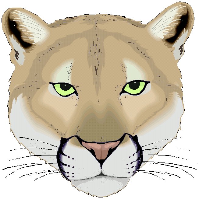 Puma or cougar paw clipart