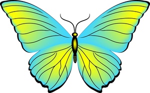 Butterflies blue butterfly clipart free images 3