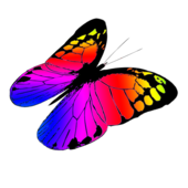 Colorful butterflies clipart clipartfox 3 - Clipartix