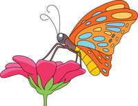 Butterflies free butterfly clipart clip art pictures graphics illustrations 2