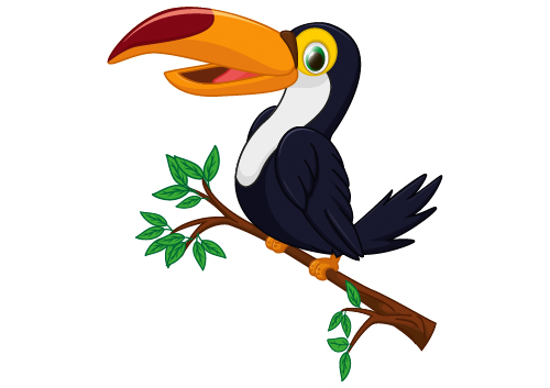 Cartoon toucan bird vector vector animal free 2