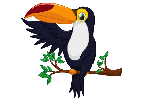 Cartoon toucan bird vector vector animal free 3