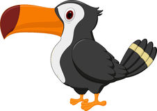 Cartoon toucan cute toucan bird cartoon illustration megapixl
