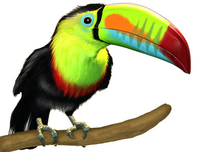 Cartoon toucan pictures 2