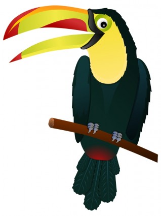 Cartoon toucan pictures 4