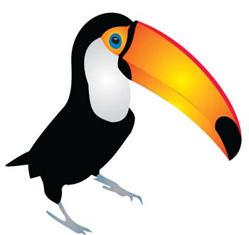 Cartoon toucan pictures