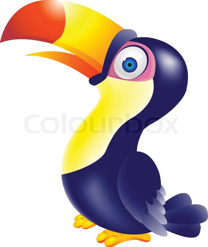 Cartoon toucan toucan bird cartoon vector colour