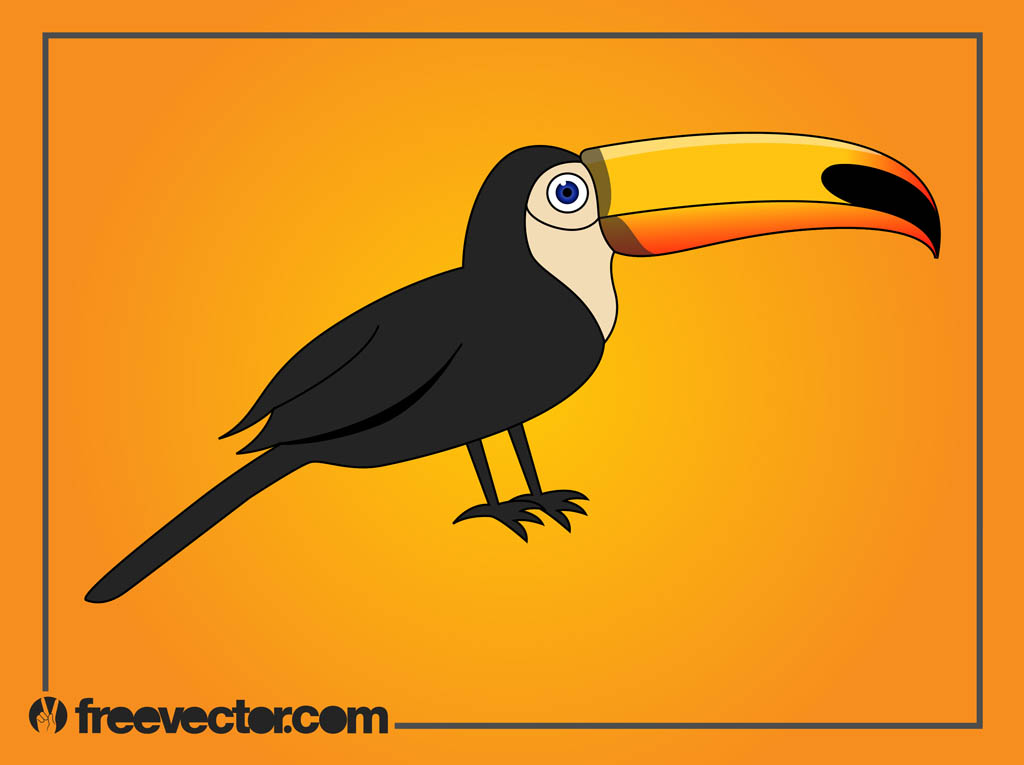 Cartoon toucan vector art