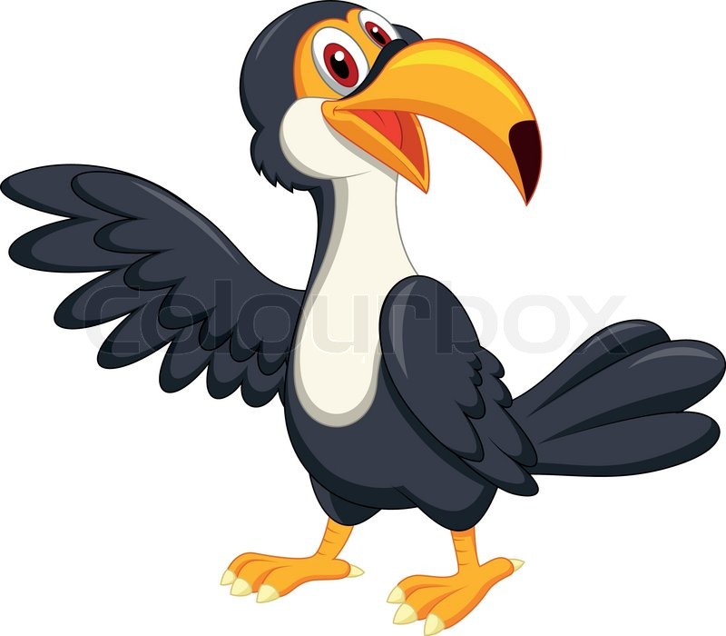 Cartoon toucan vector cute parrot bird cartoon colour