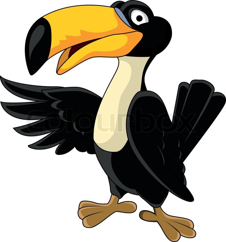 Cartoon toucan vector toucan bird cartoon colour 2