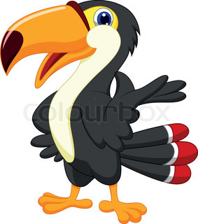 Cartoon toucan vector toucan bird cartoon colour 3