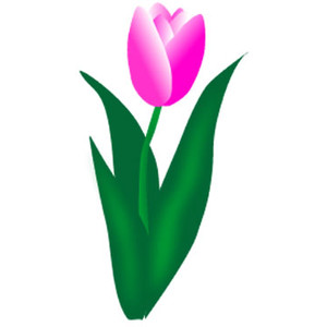 Clip art images of tulip clipart